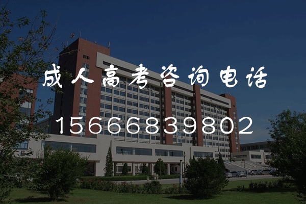 【成人高考】专升本民法：法条理解是重