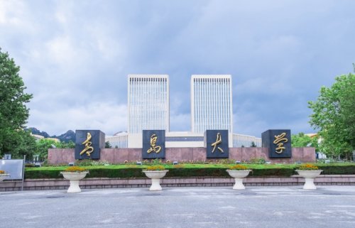 莱芜大学